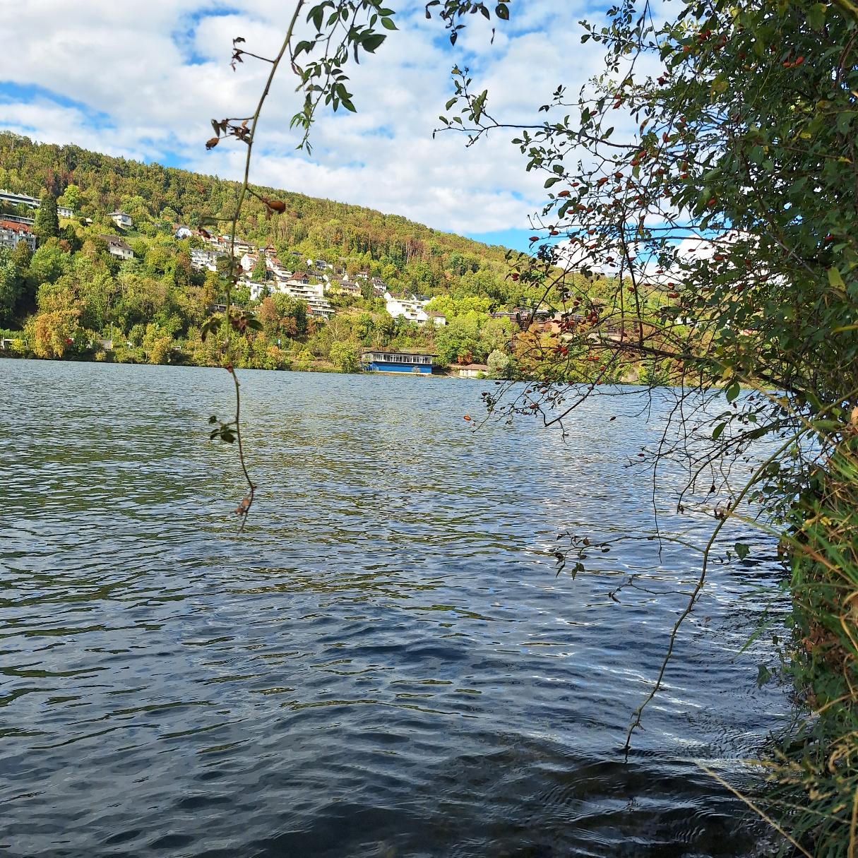 Rhein bei Koblenz (AG)